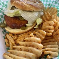 Mango habanero Chick’n sandwich- really good!  at Java Juice Cafe in Flagstaff