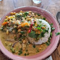 Rice at Vegefarm in Bremen