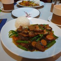 84 Veg. Ming-Du Aal at Vegefarm in Bremen