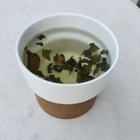 Tea at Vegefarm in Bremen