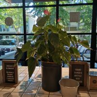  at Gelateria La Romana - Rimembranze in Rimini