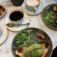 Avocado toast at Avo Brothers in Milan