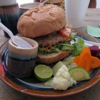 Vegan burger at Restaurante Vegetariano in Guadalajara