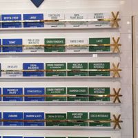 Vegan flavors the green ones at Out of the Box in Milan