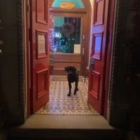Archie loved his peanut butter treats!  at Saorsa 1875 in Pitlochry