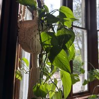   at Saorsa 1875 in Pitlochry