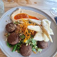  at VanPlanten in Utrecht