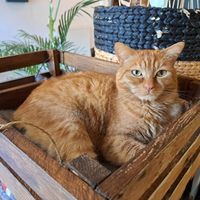 😻 at VanPlanten in Utrecht