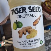 Gingerade  at Vegan Brüder in Fort Lauderdale