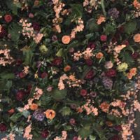 Decor above our table   at Swadish in Glasgow