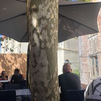   at Bengal Tandoori in Lisbon