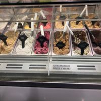 Vegan ice creams including coconut, salted peanuts, pistacchio, hazelnut, chocolate, Nutella, cafe, apple and cinnamon, lemon, blueberry,strawberry, passion fruit at Gelateria Brivido in Rome