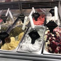 Alcuni gusti vegani   at Gelateria Brivido in Rome