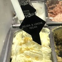 Ultimi gusti veg  at Gelateria Brivido in Rome