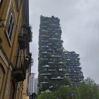 Food was eaten before we managed to take a picture 😁 at Poke House in Milan