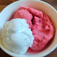 Raspberry sorbet and gin and tonic sorbet at White Lion Royal Hotel in Bala