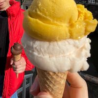   at Venezia  in Utrecht