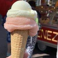 Total vegan ice cream  at Venezia  in Utrecht