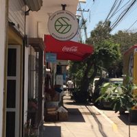   at Ginger Veggie in Puerto Vallarta