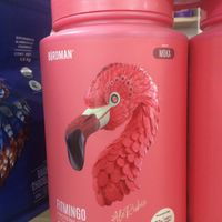   at Ginger Veggie in Puerto Vallarta