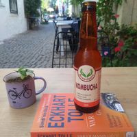 Kombucha at Derdiyoklar Kahvesi in Alacati