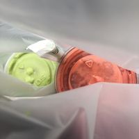 Love fresh juice   at Spring Cafe in New York City