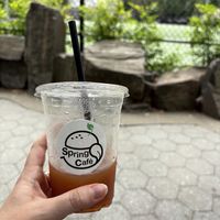 Black iced teaa  at Spring Cafe in New York City