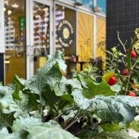 Kale for days and red pepper at The Cocinita in Miami