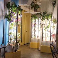 Tons of plants everywhere at The Cocinita in Miami