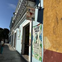   at Glotonería in Oaxaca