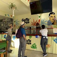   at Glotonería in Oaxaca