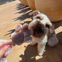  at Glotonería in Oaxaca