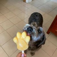  at Glotonería in Oaxaca