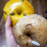 Pumpkin and possibly Cinnamon bagel? at Bagel Company in Kawasaki