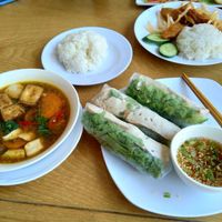 Stewed tofu, I wanna say it's called, fresh spring rolls and some veggie ribs at Hoa Sen in Phan Thiet