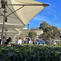 Line on a Friday morning  at Zinc Cafe and Market in Laguna Beach
