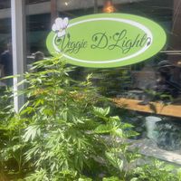 Storefront at Veggie D'Light in Toronto