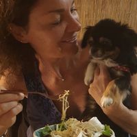 PET friendly at NattyFood in Carcassonne