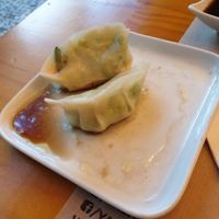 Dumplings at Yasai Natural Sushi in Rio De Janeiro