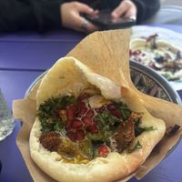   at Mr and Mrs Humus in Bonn