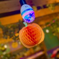 Wholesome Junkies  at Wholesome Junkies in Manchester