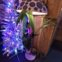  at Wholesome Junkies in Manchester