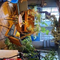  at Wholesome Junkies in Manchester