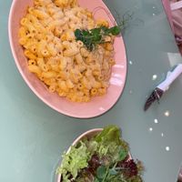   at The Lala in Vienna