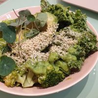 green bowl at The Lala in Vienna