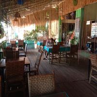 Dinning area with beautiful plants at The Green Carrot in Banlung