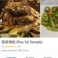 Chinese name of the Temple for your taxi driver at Sum Yuen Buddhist Vegetarian Restaurant in Macau