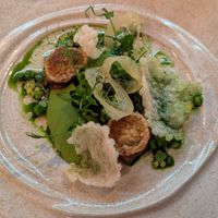 Scallops at Fino in Gdansk