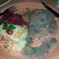 Seitan pices with salad. at Vilties Vaistinės Arbatine in Kaunas