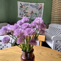  at Vilties Vaistinės Arbatine in Kaunas